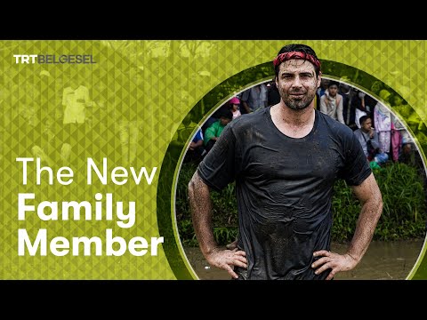The New Family Member | Trailer
