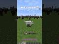 Wolf on steroids #minecraft #memes