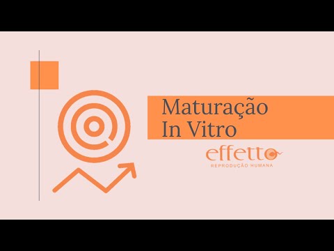 Vídeo: Maturação oocitária in vitro?