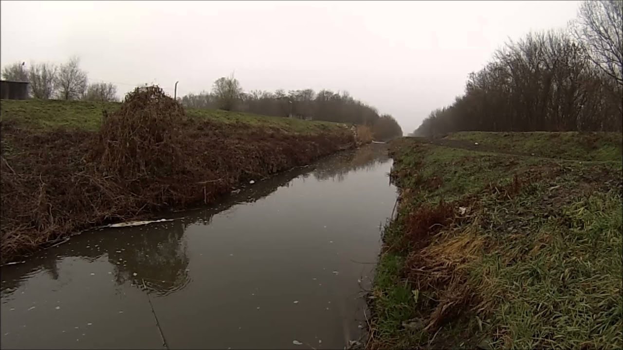 az orrán lévő pénisz nagysága)