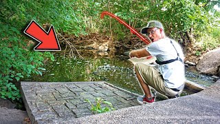 This MICRO SPILLWAY Holds RARE FISH!!! (Hidden Puddle Fishing)