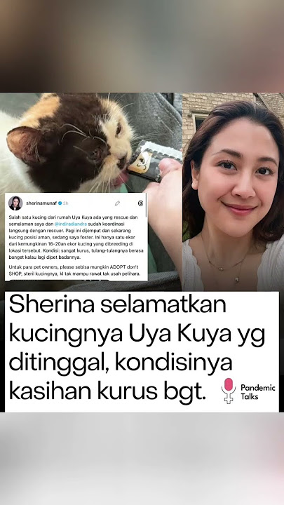 Sherina Selamatkan kucing Uya Kuya#masukberandayoutube