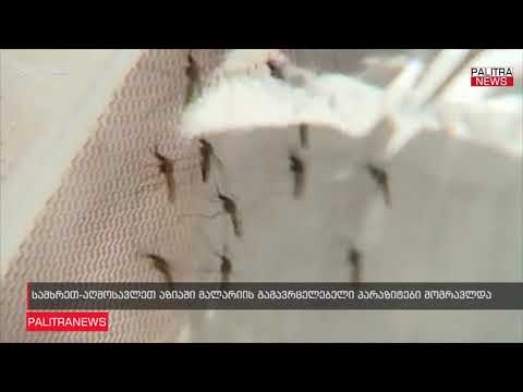 სამხრეთ-აღმოსავლეთ აზიაში მალარიის გამავრცელებელი პარაზიტები მომრავლდა