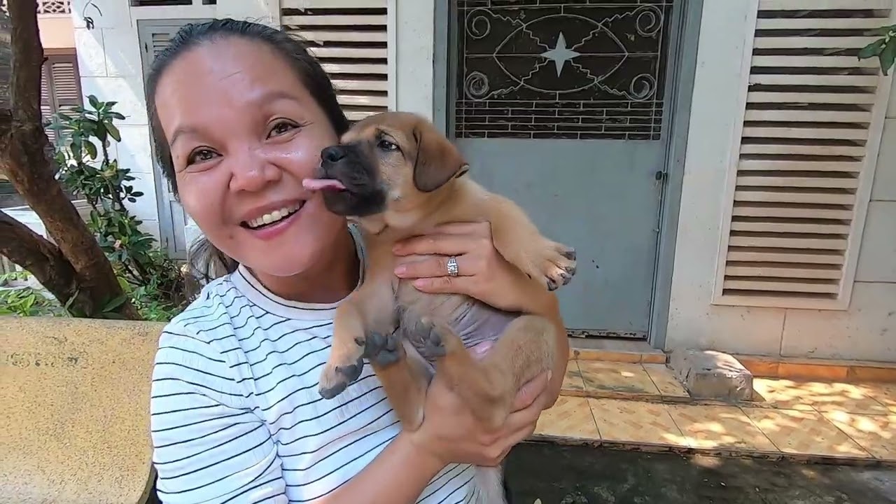 🐶MANGE 🐶 If you have a dog - Tonga Animal Welfare Society