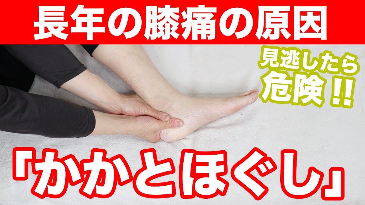 【見逃したら危険】長年の膝の痛みを解消する「かかとほぐし」東京都渋谷区恵比寿の整体院蒼