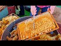 Liquid gold！Millionaire Harvesting Honey, Taiwan Bee Master/台灣蜂蜜採收, 養蜂大師, 蜂蜜檸檬愛玉製作