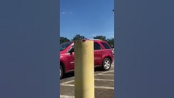 Thumbnail of Pure sound of an f-22 raptor