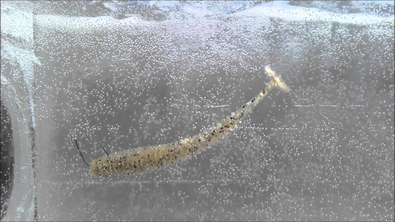 シャッドテール型ワームのスイミングテスト 動画撮影 をしてみました ラボ 研究室 Fishermans Archive