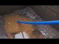 Stange thing in the drain !!!#blockeddrain #drainreplacement #brokendrain