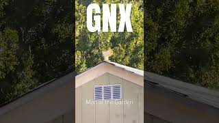GNX 🎙️ Kendrick Lamar - Man at the garden