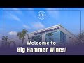 Introduction to Bighammerwines.com from Founder Greg Martellotto