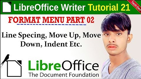 LibreOffice Writer tutorial 21 format menu part 2 || in hindi || by dev bind || techdev