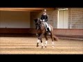Carl Hester & Dances With Wolves