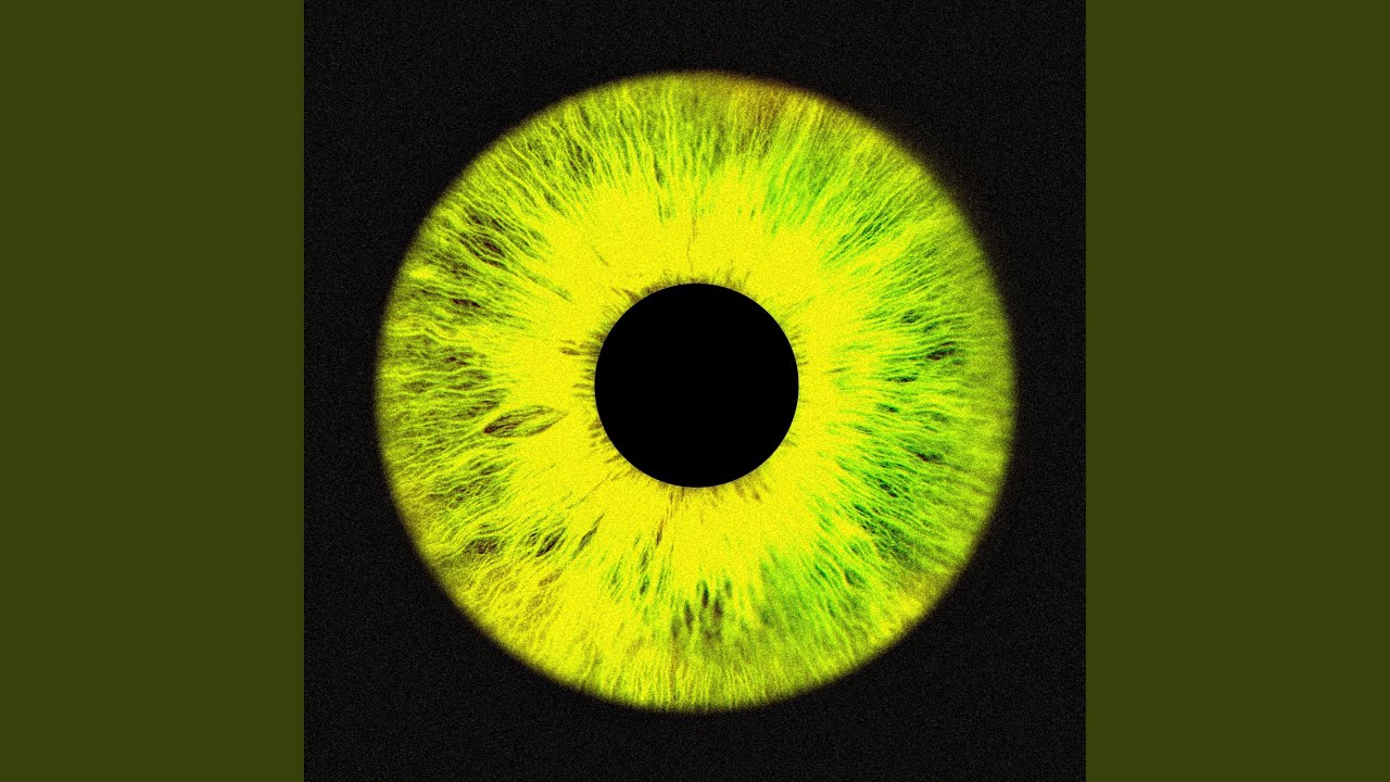 230611 Freestyle (230611 Freestyle)