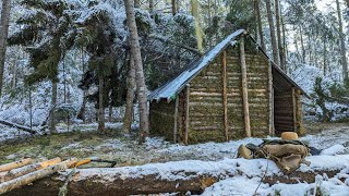 HUGE STORM Fell Trees on my Tiny Bushcraft Cabin by Joshua Gammon 13,163 views 4 months ago 12 minutes, 14 seconds