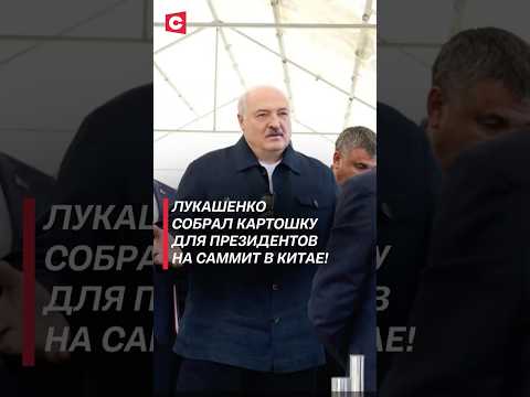 Лукашенко: собрал в Китай каждому президенту – там всё подписано! #лукашенко #шос #сицзиньпин #путин