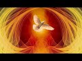 Live happy feast of pentecost 19 may 2024 divine uk