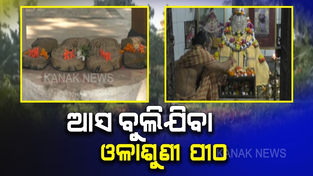 Full In Beautiful Nature Olasuni Pitha From Jajpur, Know The Importance Of It | Kanak News