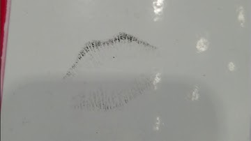 My R6 saw some action at the Show