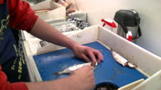 Lekkerkerkse Vishandel W.verwaal Scoort Een 17E Plaats Met Cijfer 9