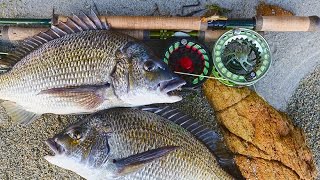 HOWTO: Start Catching Bream On Fly Part 1 — The Absolute Basics!