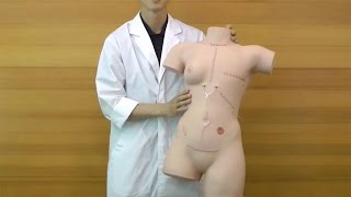 包帯法・手術創ケアトレーナー：動画