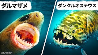 できれば避けたい海の生き物14選