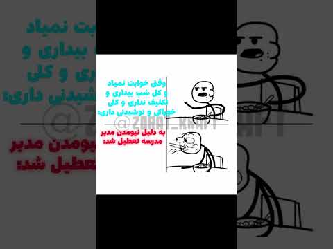 ماینلب  شلتنا  نزهه  تضامنا