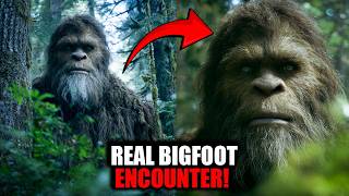 Something Massive Dragged the Tent at 3 AM | Real Bigfoot Encounter
