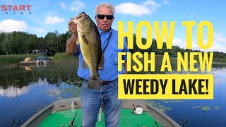 How to fish a new weedy lake!