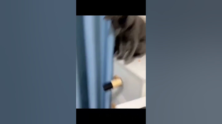 Cat broken glass 🐈 #catlover #catoftiktok #catvideos #youtubeshorts