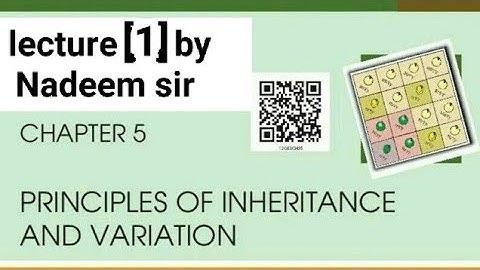 principal of inheritance lecture 1 by Nadeem sir #neer2024 Shaheen group of institutions basic term