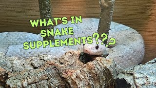 Snake Supplements 102 - Part One by Heart's Scales 183 views 3 months ago 12 minutes, 45 seconds