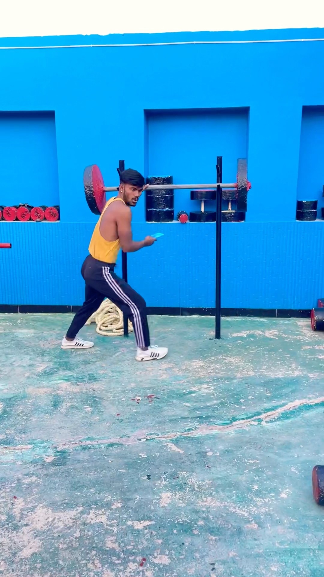 Tiger kaha gaya ??? #shortvideo #funny