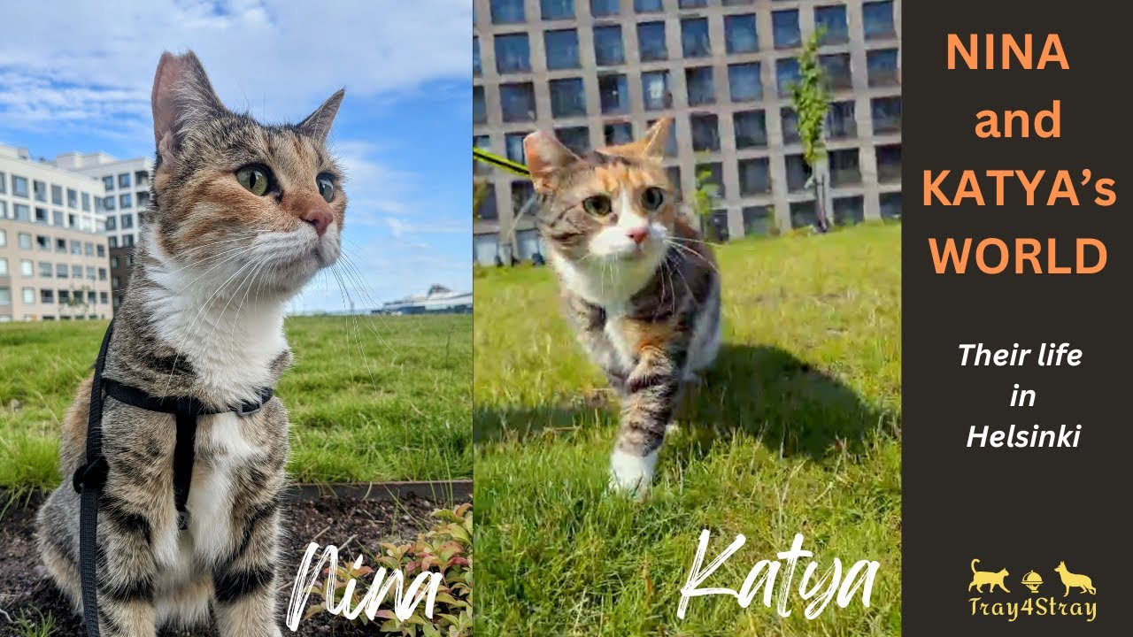 Nina & Katya's World: Their life in Helsinki, Finland
