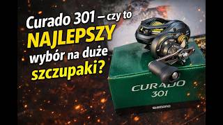 Shimano Curado 301 – czy to NAJLEPSZY wybór na duże szczupaki?
