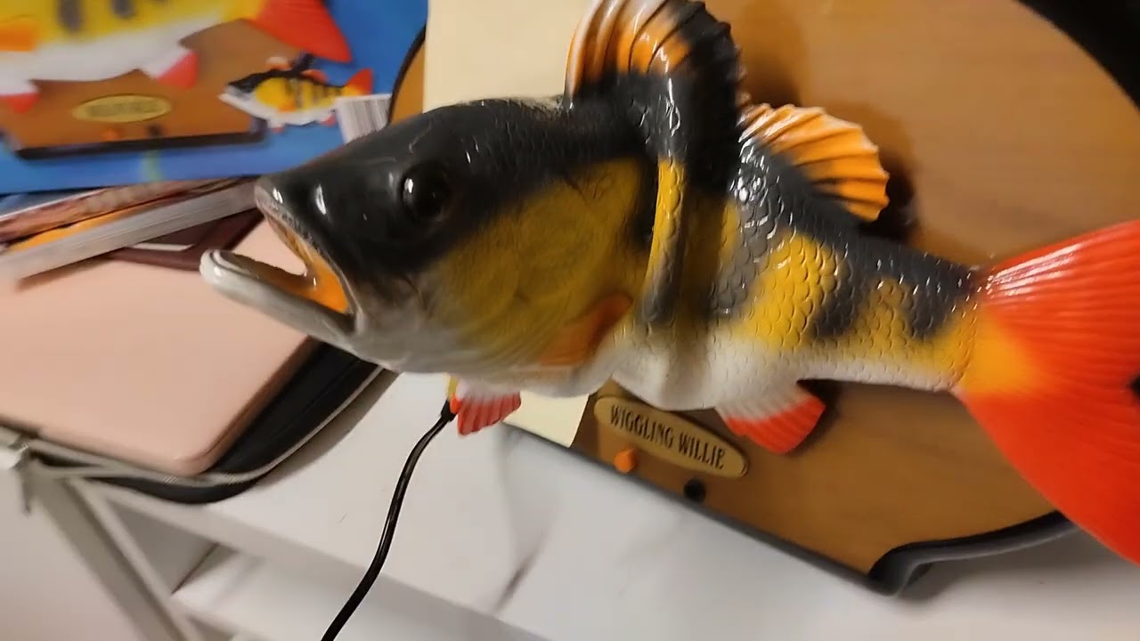 Wiggling willie the singing sensation fish (#2)