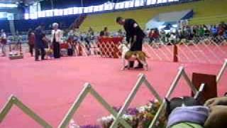 Totehan New Kraftfeld No Kcsp 2010