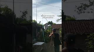 sendaren ngukuk,sendaren ngiklik,sendaren pita kado