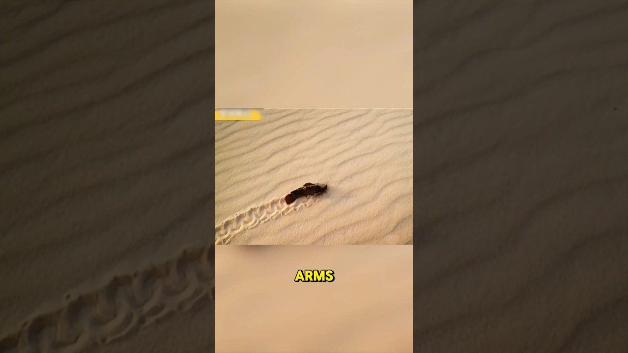 The Fish That Can Breathe And Walk On Land?!🐟🏝️🫧