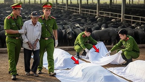 Chấn Động: Vụ Án Ngôi Mộ Tập Thể Trong Trang Trại Lợn