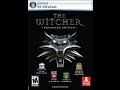 Rounding off infinity gaming interval 1163004  the witcher enhanced edition pc