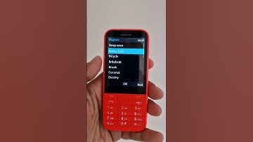 From Classic to Iconic: Nokia