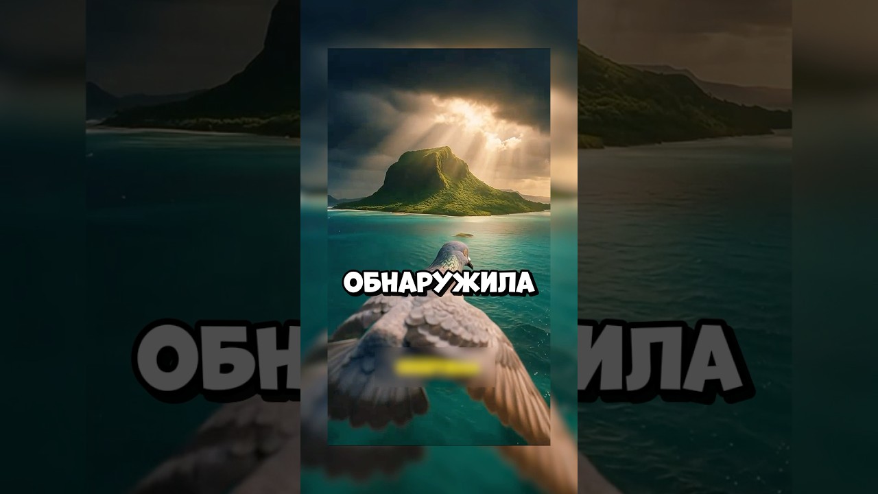 ДУШНИЛА № 290