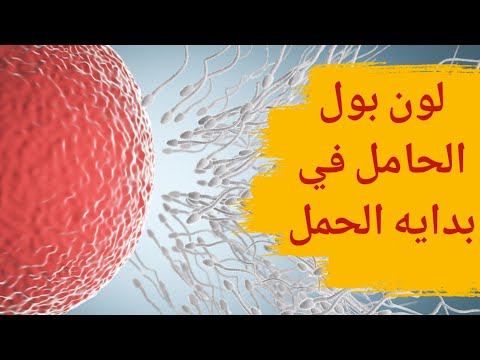 فيديو: هل يجب فتح جميع فتحات التهوية؟