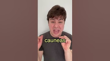 This is What Latin ACTUALLY Sounded Like