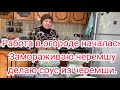 Работа в огороде началась/Замораживаю черемшу/делаю соус из черемши/Сын нашёл работу