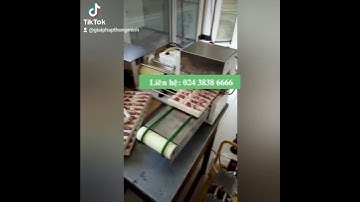 Máy xiên thịt www.quangtrung.com