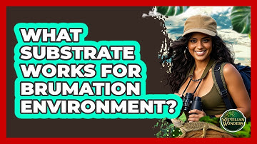 What Substrate Works for Brumation Environment?