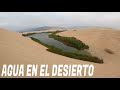 Este es EL ÚLTIMO OASIS de Sudamérica | Algunos prefieren no visitarlo | Dilo Nomás